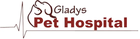 Gladys Pet Hospital