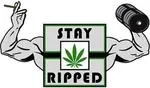 Stay Ripped Apparel