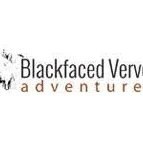 Blackfaced Vervet Adventure