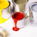 Kowhai Painting Company