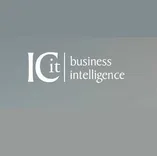 ICit Business Intelligence
