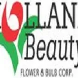 Holland Beauty Flower and Bulb Corporation