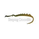 Sleeping Crocodile Inc.
