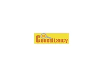 SEM Consultancy