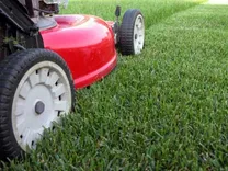 Lawn Mowing Carlingford