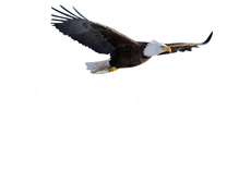 SUPER TACOS AZCATL