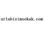 urlabizimsokak.com