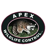 Apex Wildlife Control LLC