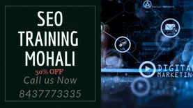 SEO Training in Mohali Chandigarh