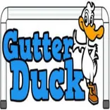 Gutter Duck