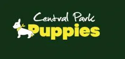 Central Park Puppies