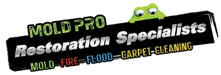 Mold Pro Water Damage Removal Queens