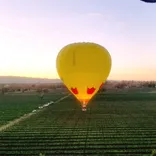 Napa Valley Balloons, Inc