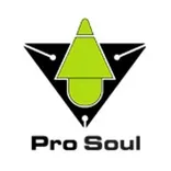 Pro Soul Studios