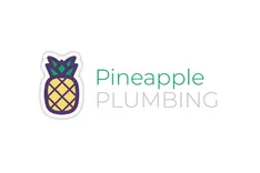 Pineapple Plumbing
