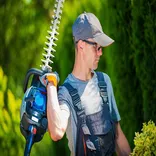 Arlington Tree Service Pros