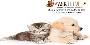 Ask The Vet- Mobile Veterinary Services