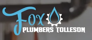 Fox Plumbers Tolleson