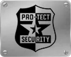 Pro-Tect Security