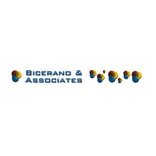 Bicerano & Associates Consulting