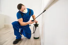 Best Pest Control Geelong 