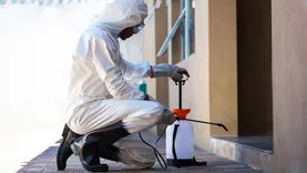 Local Pest Control Geelong 