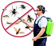 Best Pest Removal Geelong
