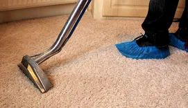 Best Rug and Carpet Cleaning Brighton