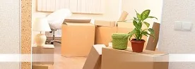 Removalists Geelong