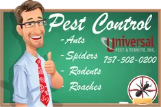 Universal Pest & Termite