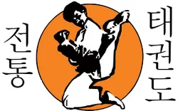 Traditional TaeKwon-Do Center Tampa