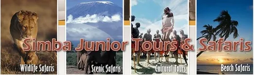 Simba junior Tours and Safaris