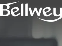 Bellwey Digital Marketing Agency