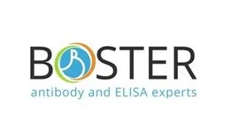 Boster Biological Technology