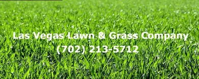 Las Vegas Lawn & Grass Company