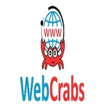 WEB CRABS LLP