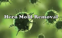 Hero Mold Removal