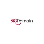 Big Domain Sdn Bhd