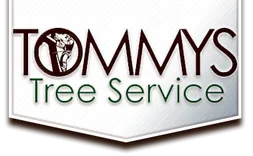 Tommy's Tree Service