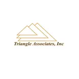 Triangle Associates Inc