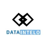 Data Intelo