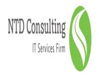 NTD Consulting IT Services Firm