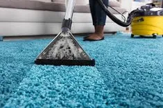 Carpet Cleaning Montrose