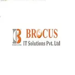 Brocus IT Solution Pvt. Ltd