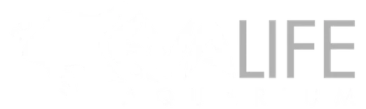 Evalife Aquarium