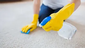 Carpet Cleaning Altona
