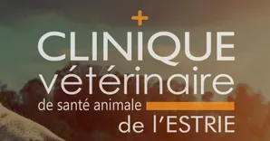 Clinique Vétérinaire De Santé Animale de l'Estrie