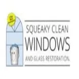 Squeaky Clean Windows Dallas