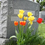 J L Apter Jewish Memorial Chapel