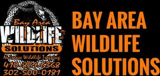 Bay Area Wildlife Solutions